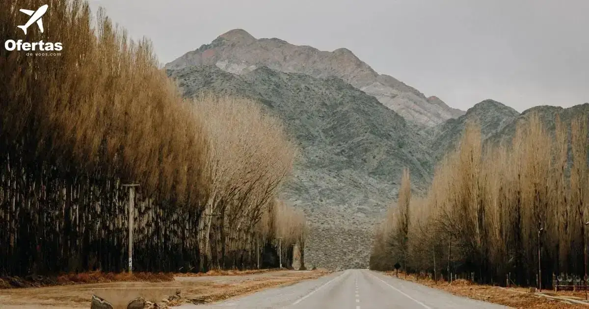 Como Avaliar a Qualidade de um Seguro Viagem para 2024