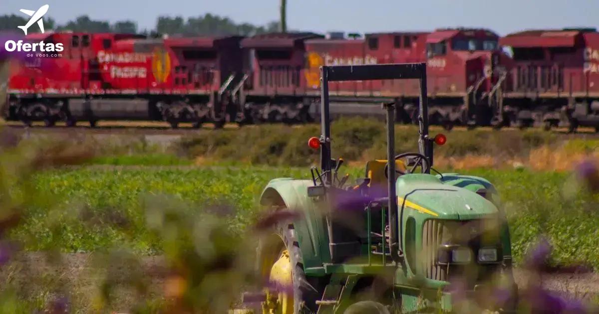Como encontrar as melhores ofertas em voos Delta de ida e volta