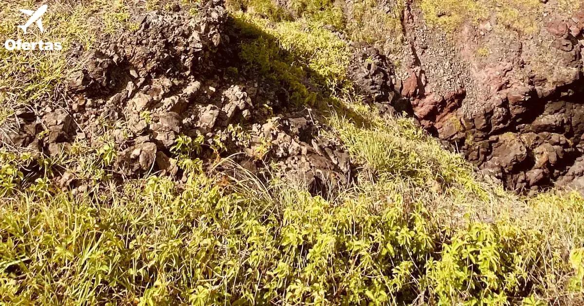 Dicas para Planejar sua Viagem a Fernando de Noronha: O que Saber Antes de Ir
