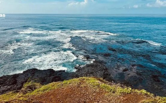 Fernando de Noronha, paraíso natural: Guia Completo