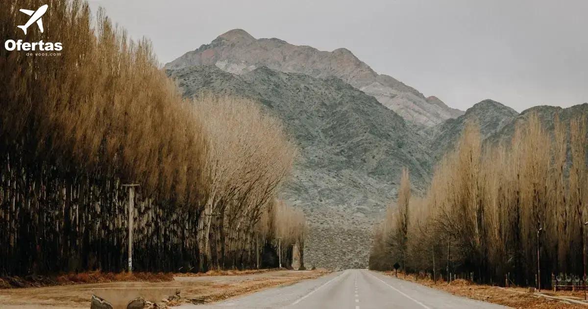 Principais Benefícios dos Seguros Viagem de Alta Qualidade para 2024