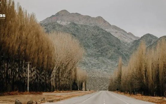 Seguro viagem 2024 qualidade garantida: 5 Melhores Opções