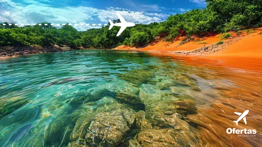 Descubra as belezas naturais do Jalapão: fervedouros e cachoeiras