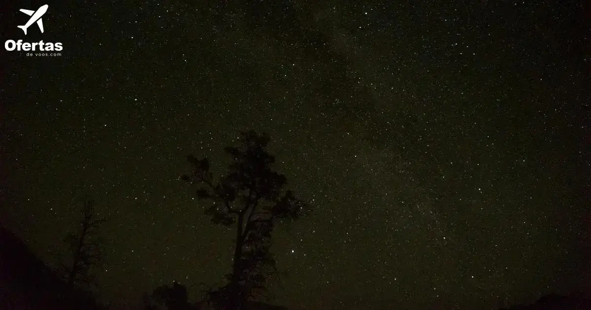 Explorando os Melhores Descontos em Gadgets Durante a Loucura Total