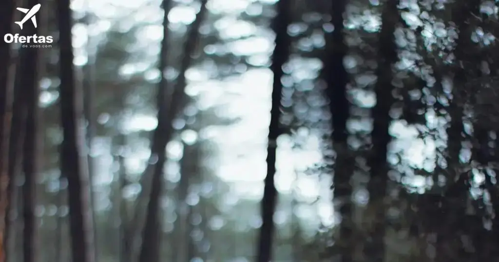 Fácil: 0800 Azul Voos - Dicas para Economizar na Próxima Viagem