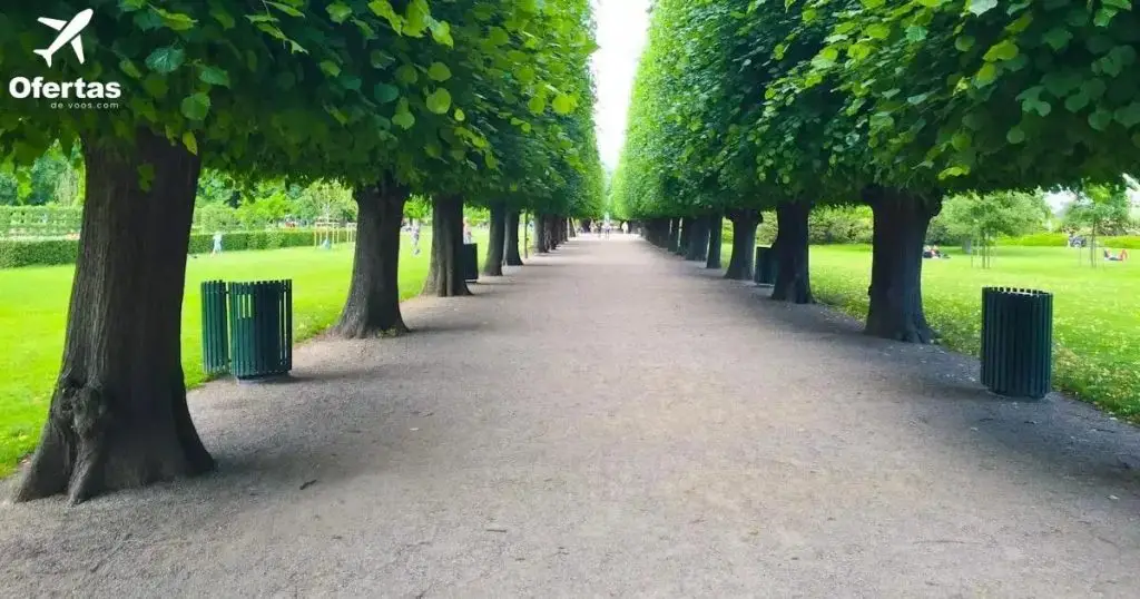 Voos para Dinamarca. Retorno garantido e vantagens!