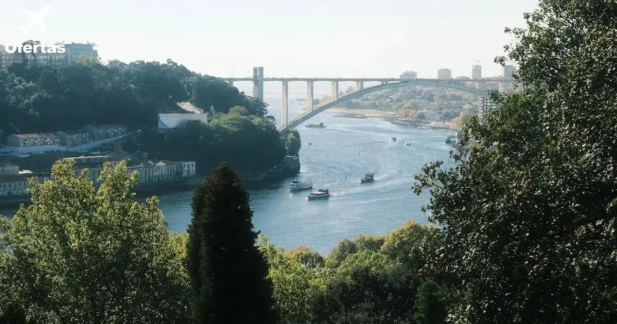 Como encontrar promoções e descontos para o Voo Faro-Porto