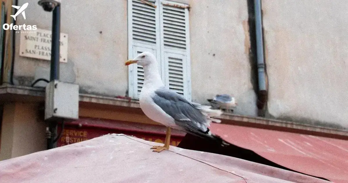Como Incorporar o Positivismo no Seu Dia a Dia
