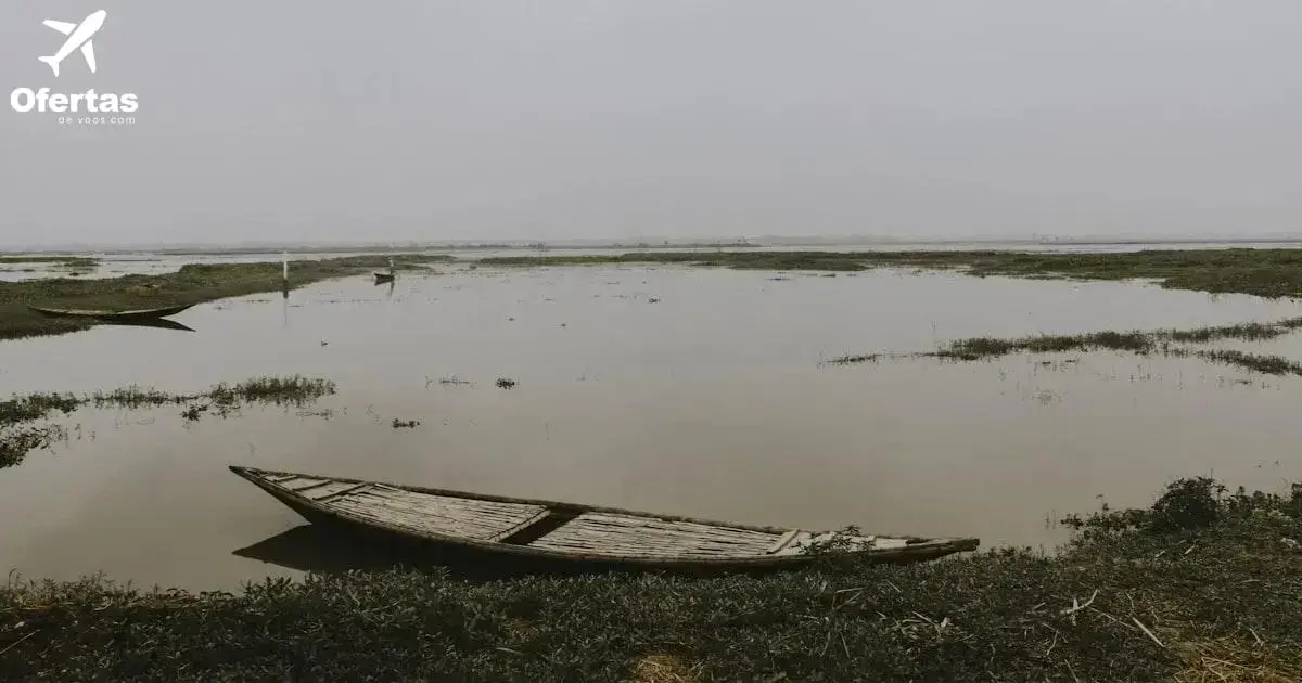 Dicas essenciais de SEO para otimizar seu conteúdo sobre Voo para Canoas.