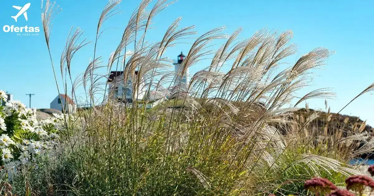 Explorando as vantagens de reservar seu voo para Nova York imediatamente