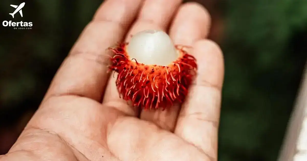 Onde buscar promoções de passagens aéreas para o Brasil