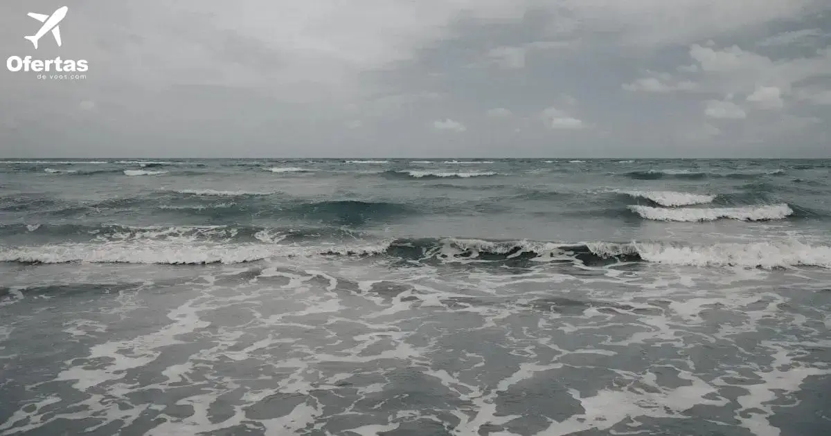 Por que o SEO é importante para a sua página sobre Voo para Canoas