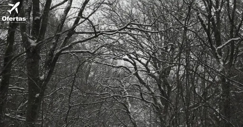 Voo para Portugal, nada mais: Descubra como encontrar as melhores ofertas de passagens aéreas!