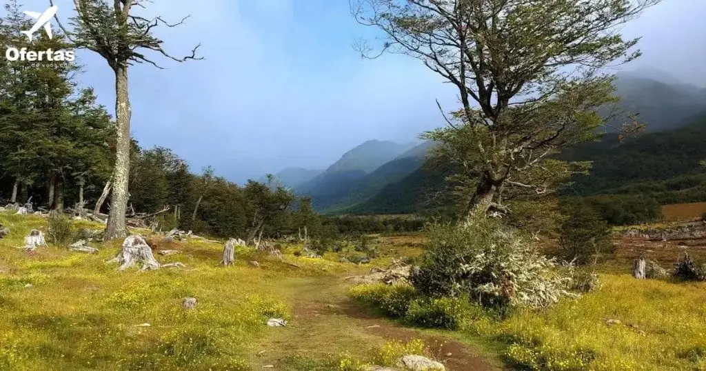 Voo para Ushuaia, retorno emocionante: Descubra as surpresas!